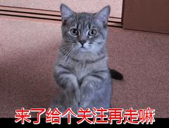 抖音ar橘猫为什么放置不了(抖音ar橘猫为什么没有)