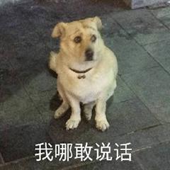 抖音要扶着墙的小猫表情(抖音上一只靠墙的猫的表情是什么意思)