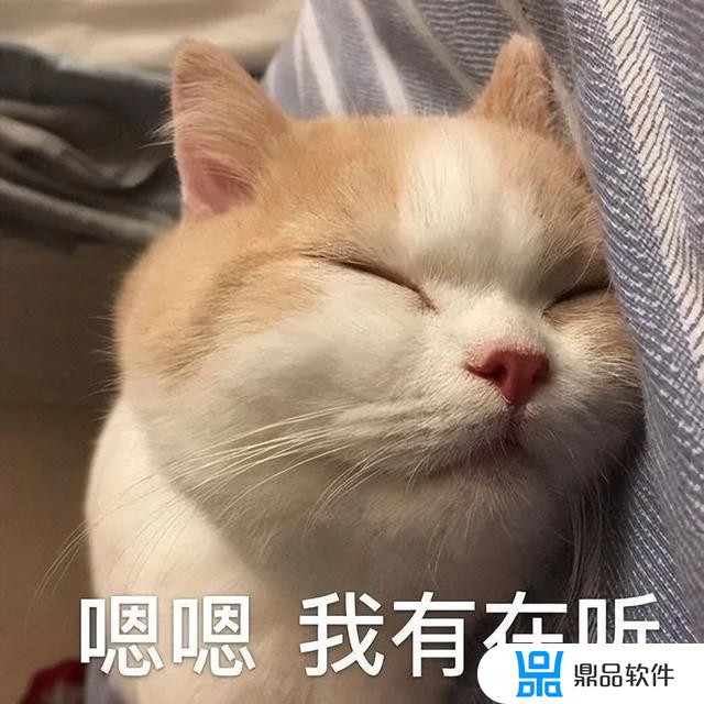 抖音要扶着墙的小猫表情(抖音上一只靠墙的猫的表情是什么意思)