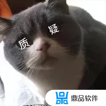 抖音要扶着墙的小猫表情(抖音上一只靠墙的猫的表情是什么意思)