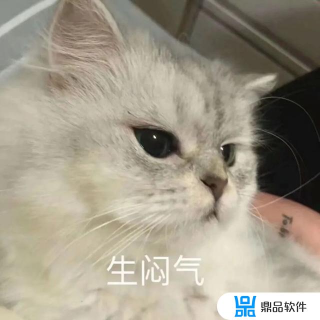 抖音要扶着墙的小猫表情(抖音上一只靠墙的猫的表情是什么意思)