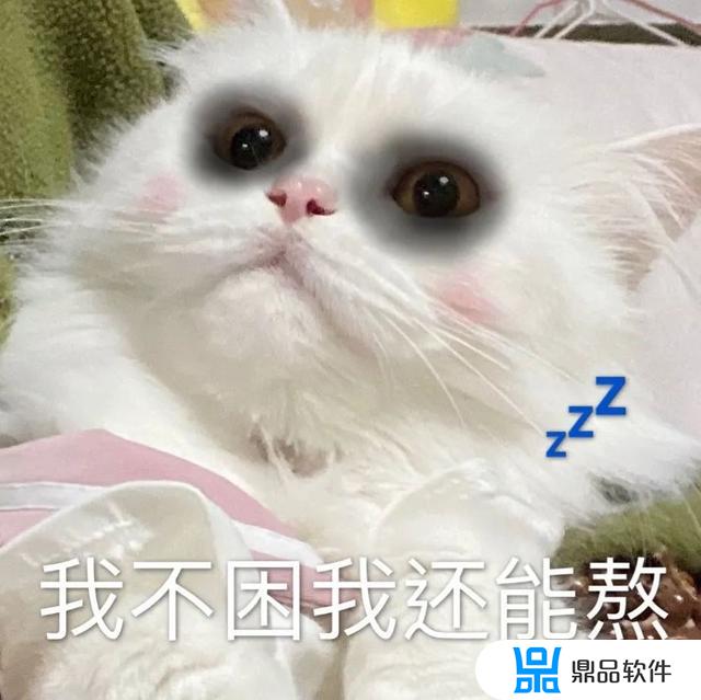 抖音要扶着墙的小猫表情(抖音上一只靠墙的猫的表情是什么意思)