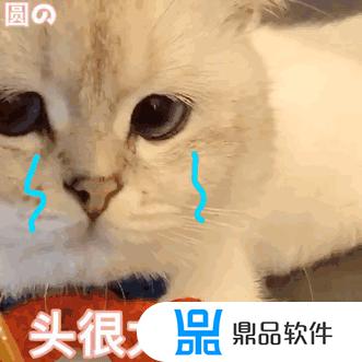 抖音要扶着墙的小猫表情(抖音上一只靠墙的猫的表情是什么意思)