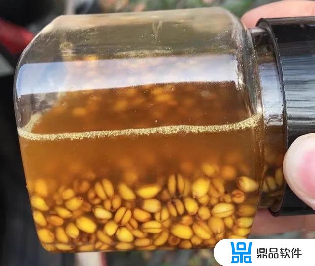 抖音上的麦子泡酒怎么弄(酒泡麦子多长时间能软)