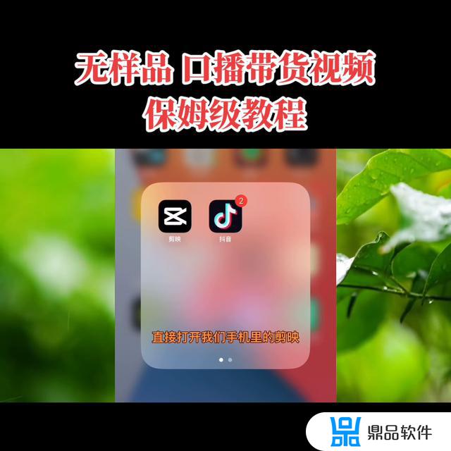 抖音山楂啊梨怎么拍剪映(抖音里山楂梨怎么制作呀)