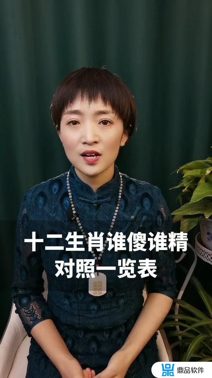 十二生肖谁最傻谁最精抖音(十二生肖谁最傻谁最精图片)