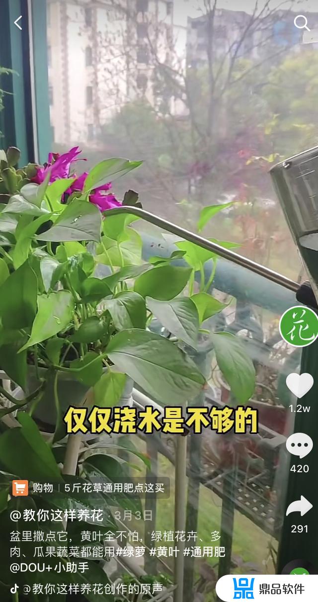 抖音中花匠是谁(抖音中花匠是谁扮演的)