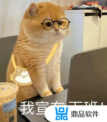 猫微笑表情特效怎么做抖音(猫微笑表情特效怎么做抖音视频)