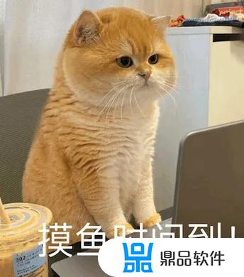 猫微笑表情特效怎么做抖音(猫微笑表情特效怎么做抖音视频)