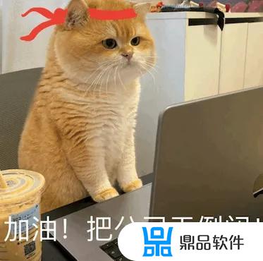 猫微笑表情特效怎么做抖音(猫微笑表情特效怎么做抖音视频)