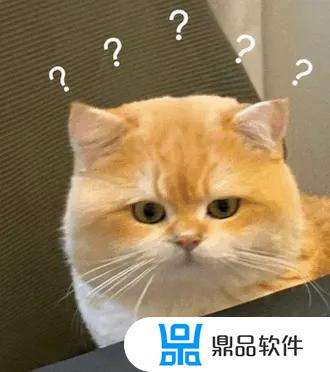 猫微笑表情特效怎么做抖音(猫微笑表情特效怎么做抖音视频)