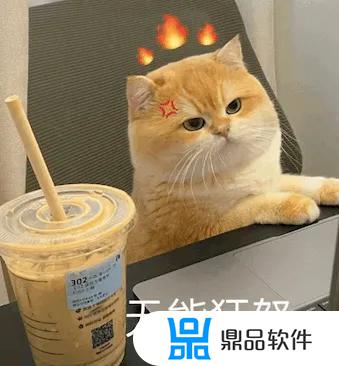 猫微笑表情特效怎么做抖音(猫微笑表情特效怎么做抖音视频)