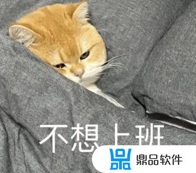 猫微笑表情特效怎么做抖音(猫微笑表情特效怎么做抖音视频)