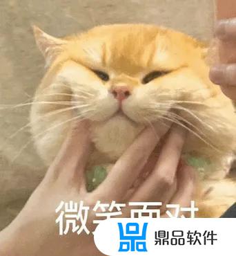 猫微笑表情特效怎么做抖音(猫微笑表情特效怎么做抖音视频)