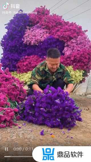 抖音极速版鲜花小镇怎么进(抖音极速版鲜花小镇怎么买礼包花)