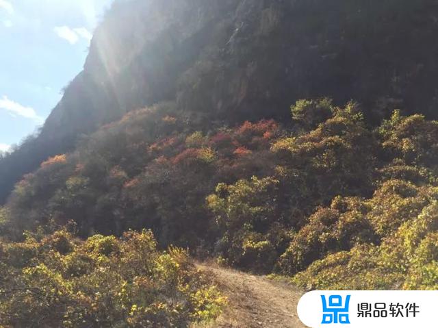 河北省平山县北冶乡狮子坪村的抖音(平山狮子坪景区攻略)