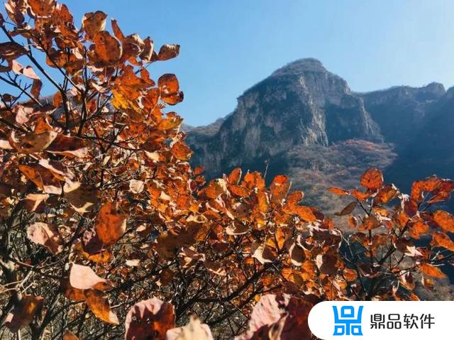 河北省平山县北冶乡狮子坪村的抖音(平山狮子坪景区攻略)