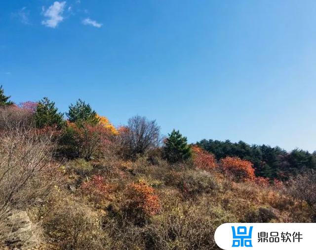 河北省平山县北冶乡狮子坪村的抖音(平山狮子坪景区攻略)