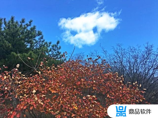 河北省平山县北冶乡狮子坪村的抖音(平山狮子坪景区攻略)