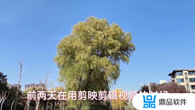 抖音做的视频怎么黑屏(抖音视频怎么是黑屏)