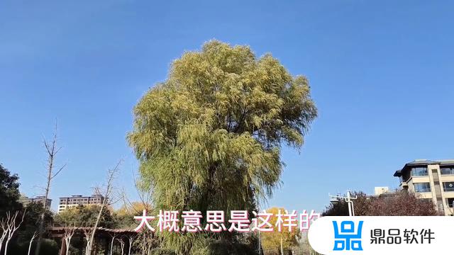 抖音做的视频怎么黑屏(抖音视频怎么是黑屏)