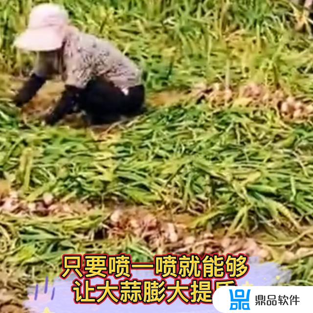 大蒜抖音短视频我怎么这么好看(抖音卖大蒜的搞笑视频)