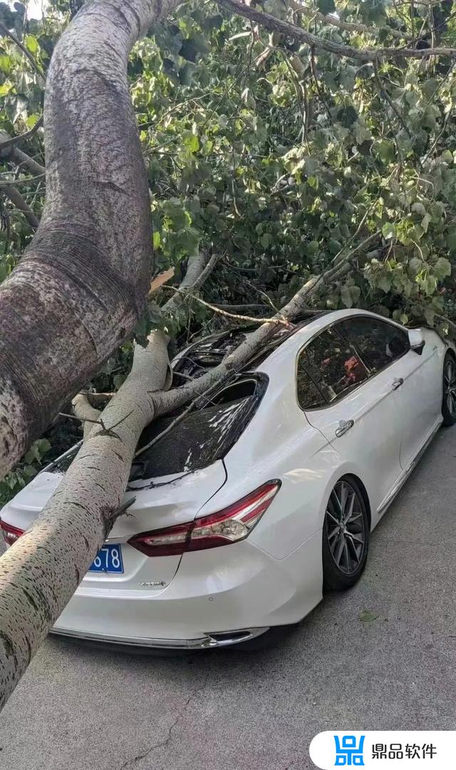 抖音南阳台风的视频(抖音南阳台风网红)