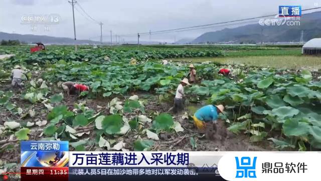 弥勒竹园下河口美女抖音(弥勒市竹园镇美女在哪里)