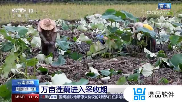 弥勒竹园下河口美女抖音(弥勒市竹园镇美女在哪里)