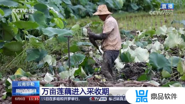 弥勒竹园下河口美女抖音(弥勒市竹园镇美女在哪里)