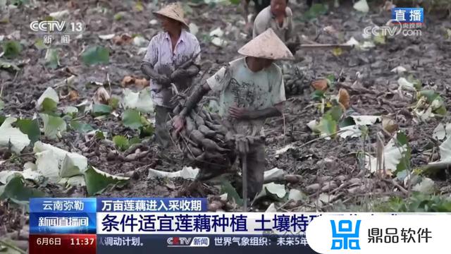 弥勒竹园下河口美女抖音(弥勒市竹园镇美女在哪里)