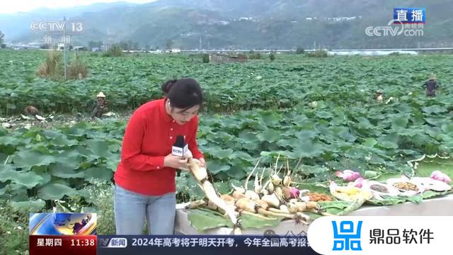 弥勒竹园下河口美女抖音(弥勒市竹园镇美女在哪里)