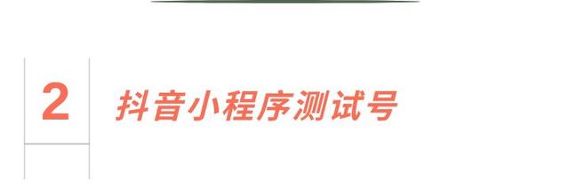 抖音趣测趣玩小程序怎么制作(抖音趣测趣玩小程序怎么制作视频)