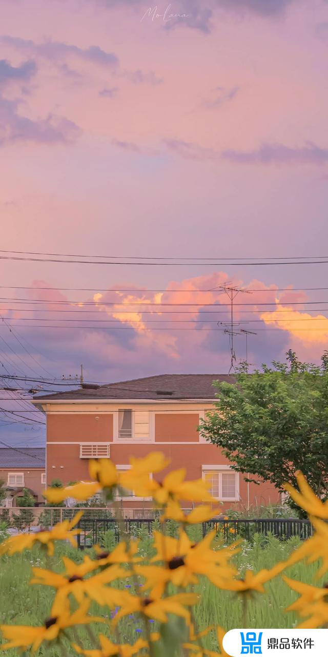 笑得很夸张的抖音背景(笑得很夸张的抖音背景图)