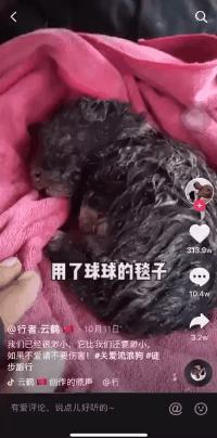 抖音余生为你而来怎么弄(抖音余生为你而来怎么弄视频)