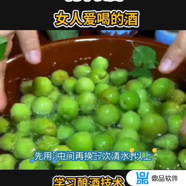 抖音上的梅酒怎么做(抖音上的梅酒怎么做的)