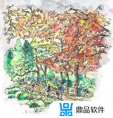 组照怎么拍抖音(组照怎么拍抖音好看)