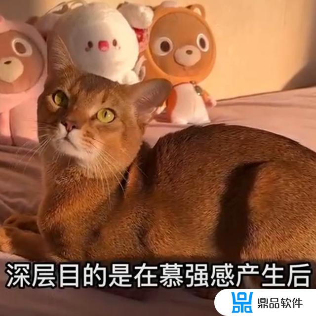 在抖音怎么做一个崇拜者(在抖音怎么做一个崇拜者呢)