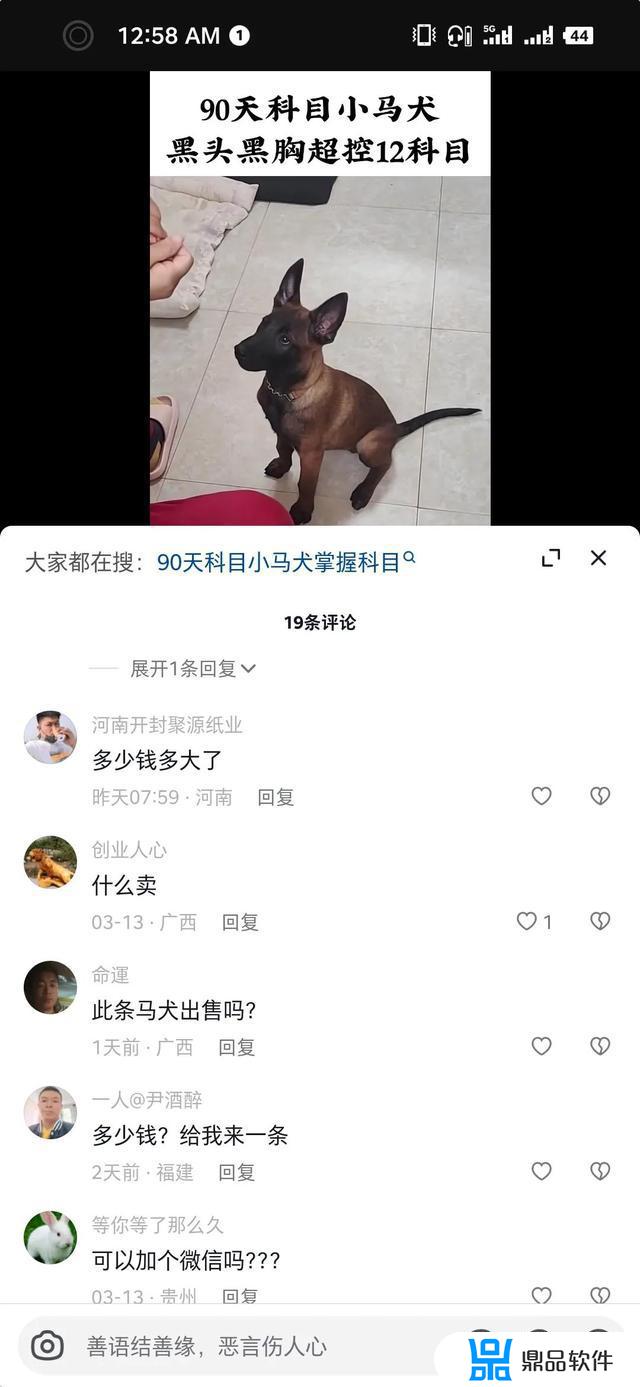 抖音上狗贩子价格为什么那么低(抖音上狗贩子价格为什么那么低呢)