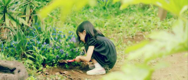 抖音芦田爱菜背景音乐(芦田爱菜的歌曲)