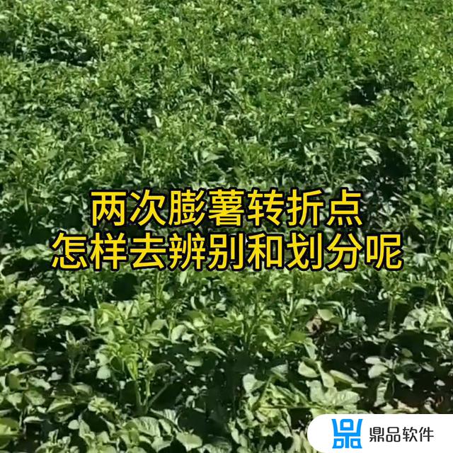 抖音里怎么拒绝连赞(抖音里怎么拒绝连赞的人)