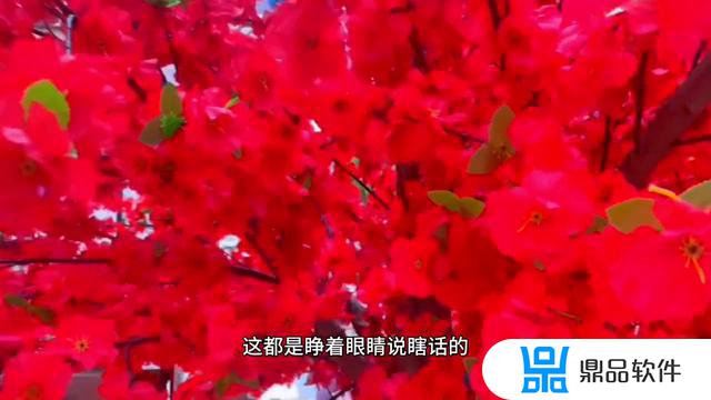 抖音上怎么发表几百字的文章(抖音上怎么发表几百字的文章呢)