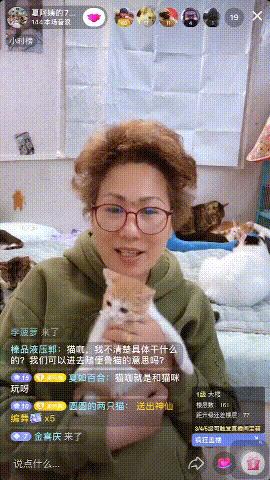 抖音直播间怎么领养猫(抖音直播间怎么领养猫咪的礼物)