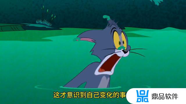 猫鱼抖音怎么样(猫鱼抖音怎么样赚钱)