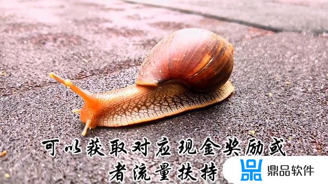 刷抖音可以赚钱的软件有哪些(刷抖音赚钱方法)