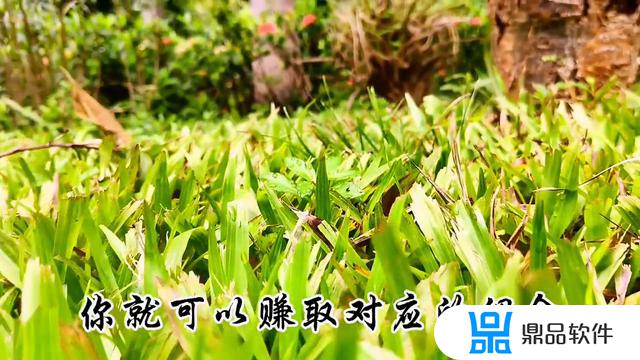 刷抖音可以赚钱的软件有哪些(刷抖音赚钱方法)