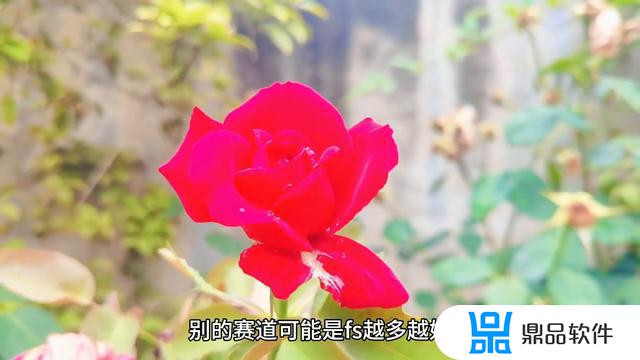 为什么抖音上传长视频会卡(为什么抖音上传长视频会卡顿)