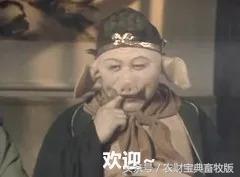 一头猪的抖音短视频(一头猪的抖音短视频怎么拍)