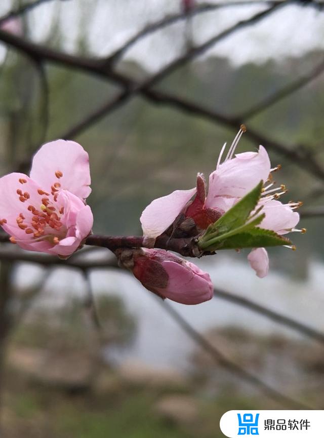 抖音里飘出的字怎么整(抖音里飘出的字怎么整掉)