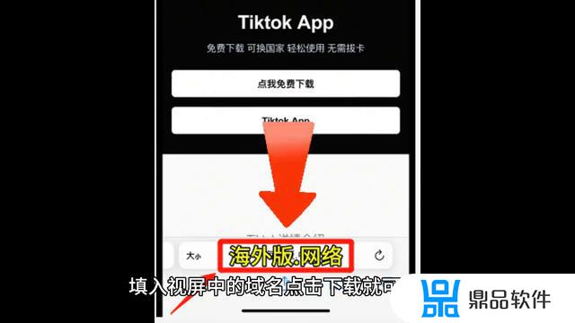 tiktok抖音国际版app下载苹果(tiktok抖音国际版app安卓版)